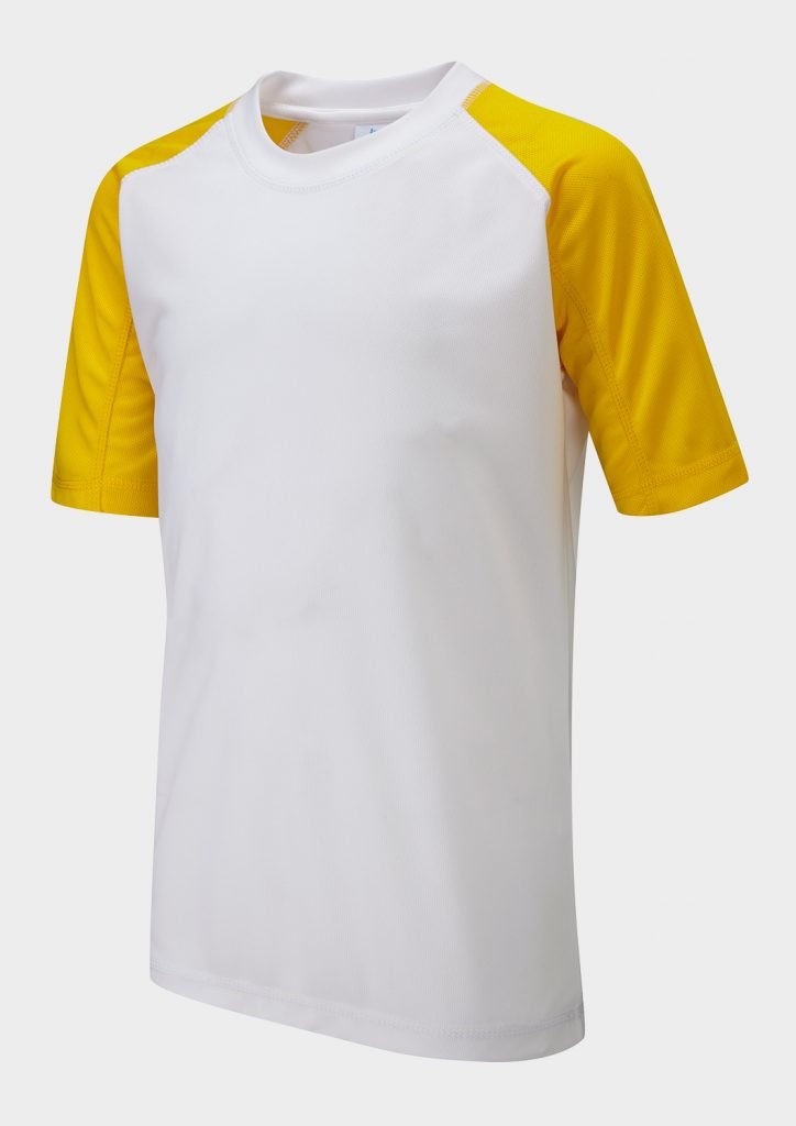 Falcon Primary Panelled T-Shirt - ACE Clothing