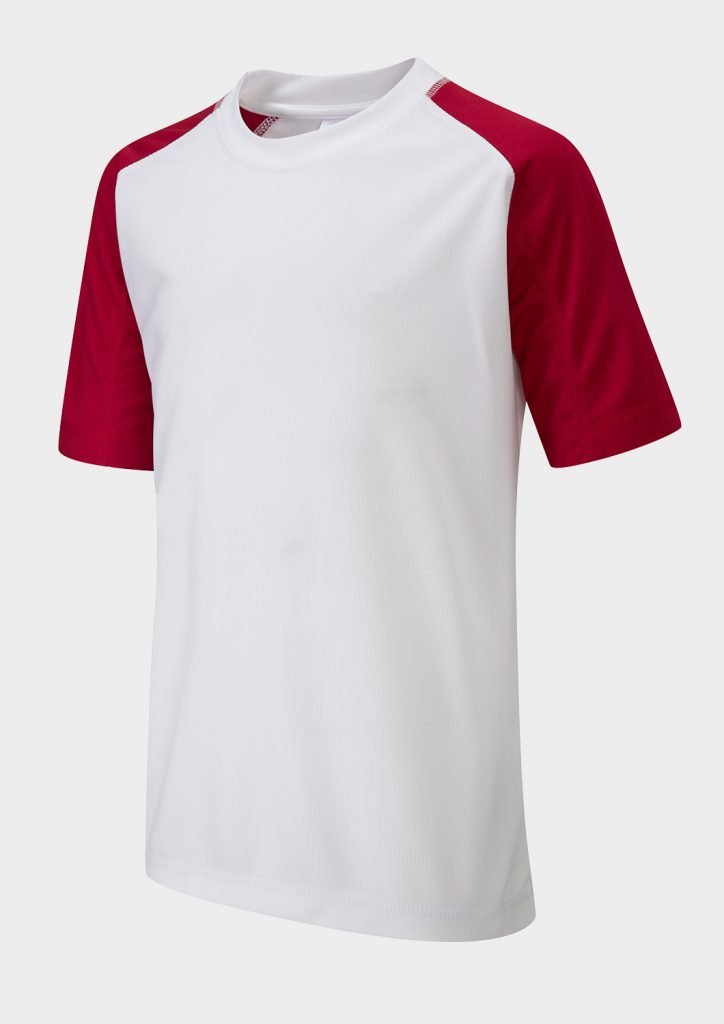 Falcon Primary Panelled T-Shirt - ACE Clothing