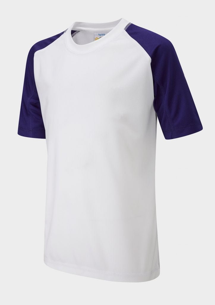 Falcon Primary Panelled T-Shirt - ACE Clothing