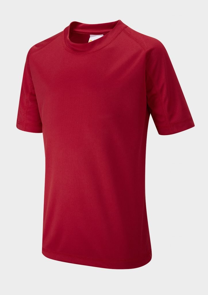 Falcon Primary T-Shirt - ACE Clothing