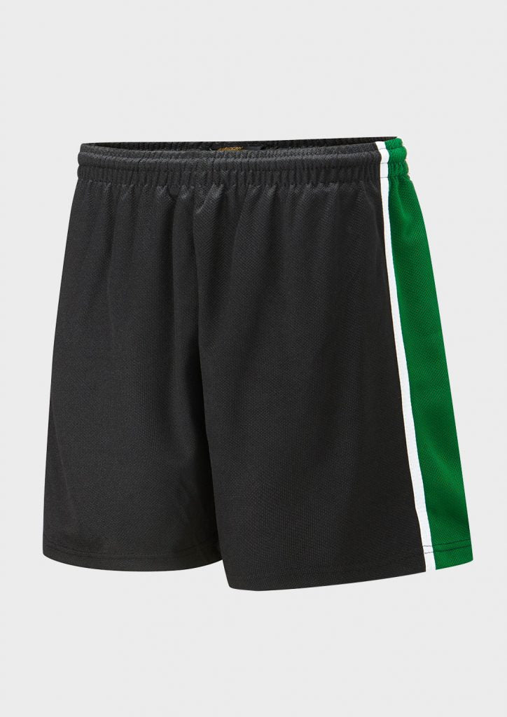 Falcon Spirit Panelled Sports Short - ACE Clothing