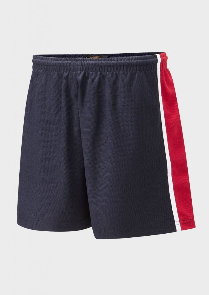 Falcon Spirit Panelled Sports Short - ACE Clothing