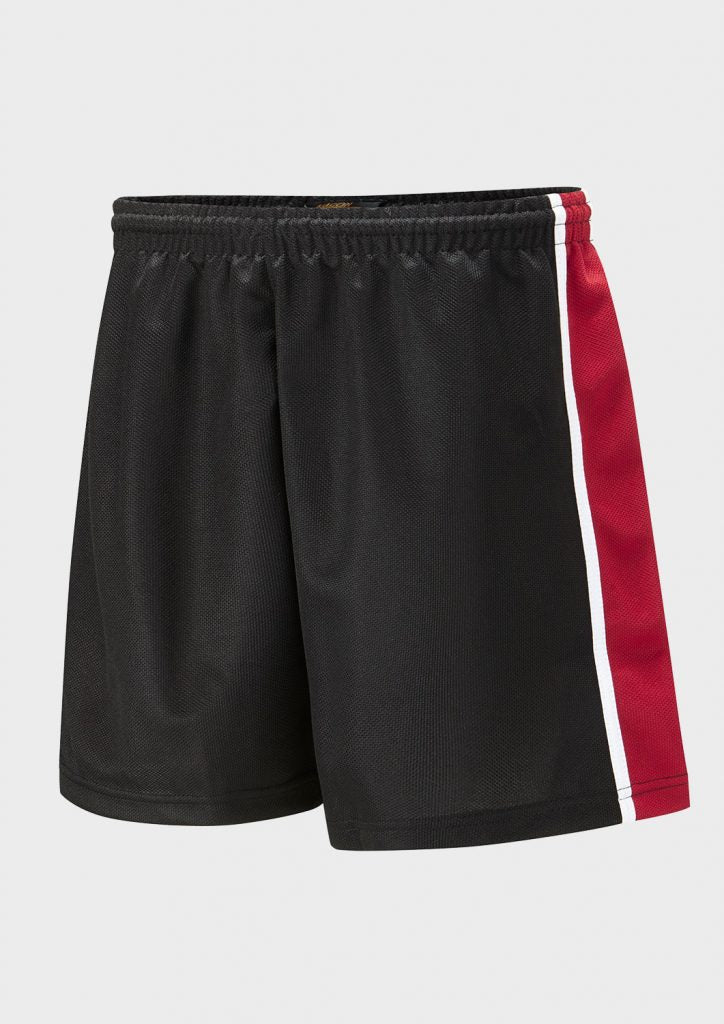 Falcon Spirit Panelled Sports Short - ACE Clothing