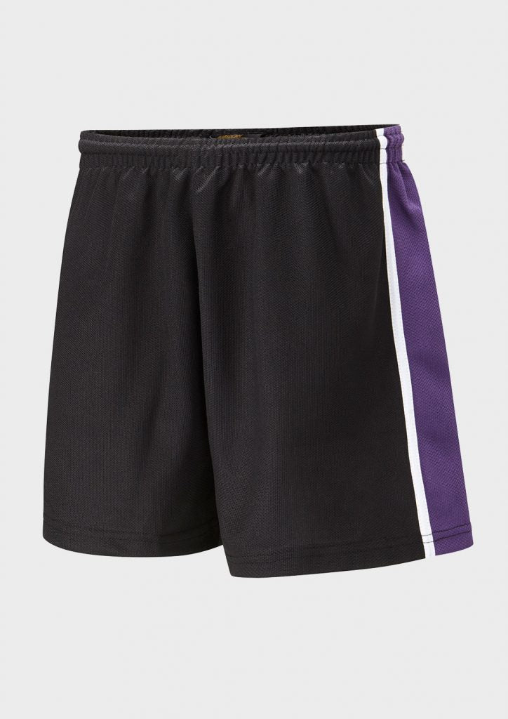 Falcon Spirit Panelled Sports Short - ACE Clothing