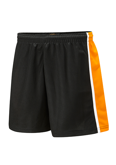 Falcon Spirit Panelled Sports Short - ACE Clothing