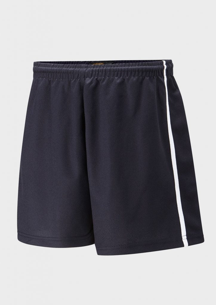 Falcon Spirit Panelled Sports Short - ACE Clothing