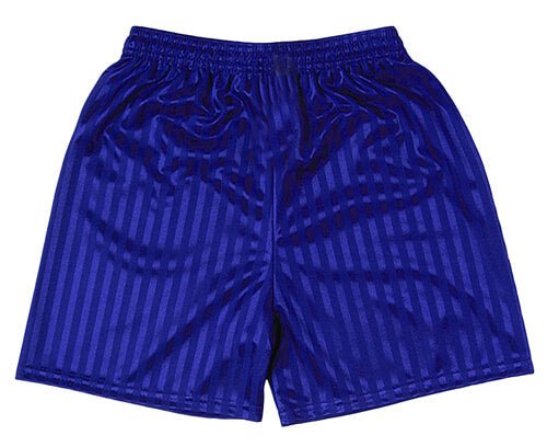 OLG PE Shorts (Royal/Shadow stripe)- Compulsory - ACE Clothing