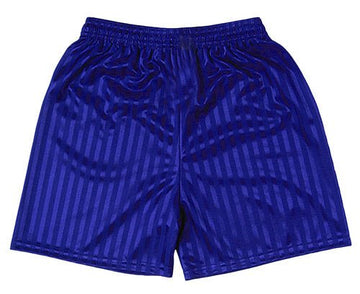 OLG PE Shorts (Royal/Shadow stripe)- Compulsory - ACE Clothing