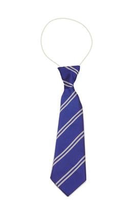 Our Lady Of Lourdes Elastic Tie - ACE Clothing