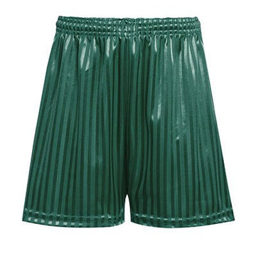 PE Shadow Stripe Shorts - Bottle - ACE Clothing