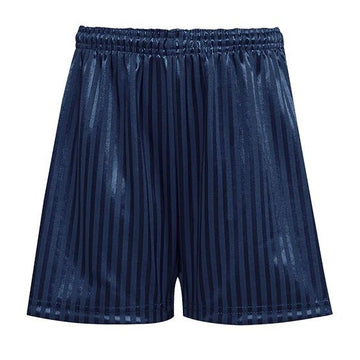 PE Shorts Shadow Stripe Shorts - Navy - ACE Clothing